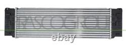 Fits Volkswagen Crafter Intercooler 2006 2007 2008 2009 2010 2011